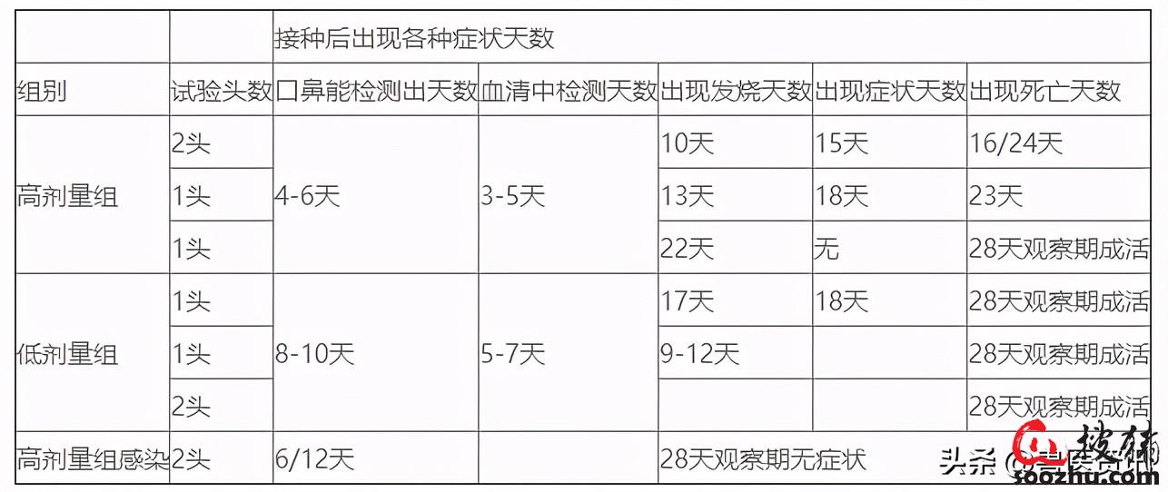 天博体育官方平台入口F非瘟间隙性排毒、无症状感染如何早发现及处理？(图1)