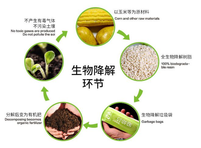 天博体育官方平台入口公众对生物可降解塑料认识不足有哪些影响？